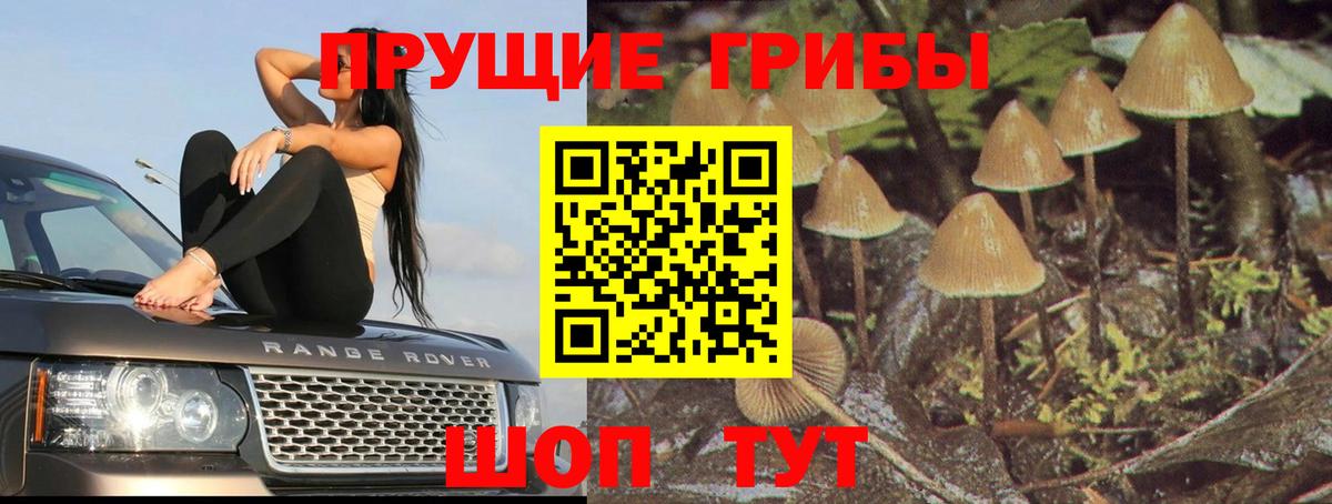 Канабис  ГАШИШ  Где купить наркотики?  Cocaine  Экстази  ГАШ  Вход с VPN  МЕФ   MDMA  Боровичи  Метадон 