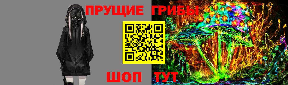 Галлюциногенные грибы Cubensis Боровичи