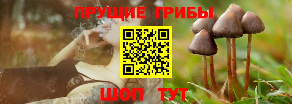 Галлюциногенные грибы MAGIC MUSHROOMS  Вход с VPN  Боровичи 
